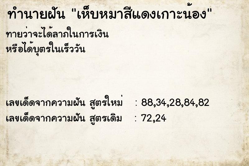 ทำนายฝัน เห็บหมาสีแดงเกาะน้อง ทำนายฝัน เห็บหมาสีแดงเกาะน้อง