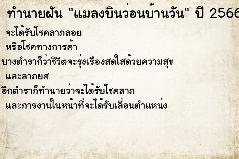 ทำนายฝันแมลงบินว่อนบ้านวัน ทำนายฝันทำนายฝันแมลงบินว่อนบ้านวัน