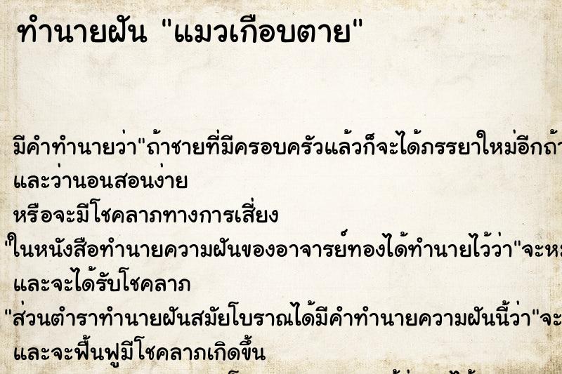 ทำนายฝันทำนายฝันแมวเกือบตาย