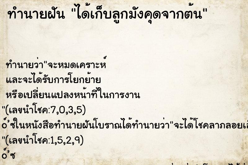 ทำนายฝัน ได้เก็บลูกมังคุดจากต้น