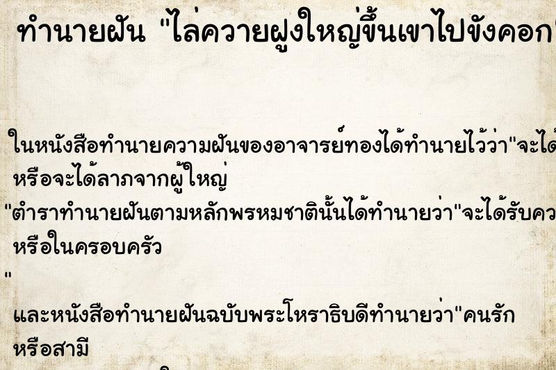 ทำนายฝัน ไล่ควายฝูงใหญ่ขึ้นเขาไปขังคอก ทำนายฝัน ไล่ควายฝูงใหญ่ขึ้นเขาไปขังคอก