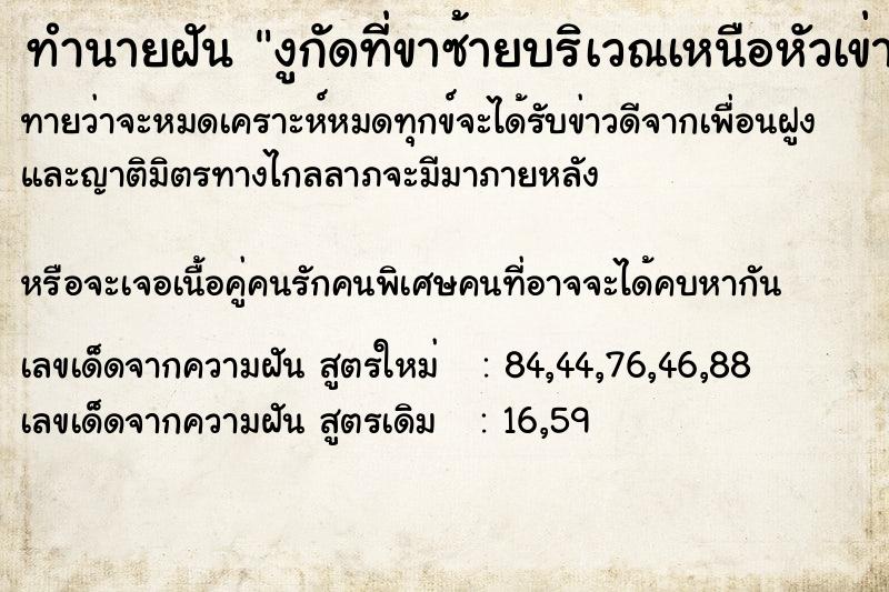 ทำนายฝันงูกัดที่ขาซ้ายบริเวณเหนือหัวเข่า ทำนายฝันทำนายฝันงูกัดที่ขาซ้ายบริเวณเหนือหัวเข่า