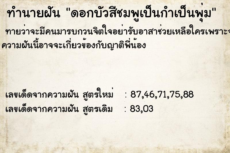 ทำนายฝันทำนายฝันดอกบัวสีชมพูเป็นกำเป็นพุ่ม