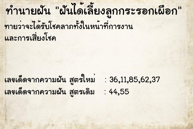 ทำนายฝันทำนายฝันฝันได้เลี้ยงลูกกระรอกเผือก