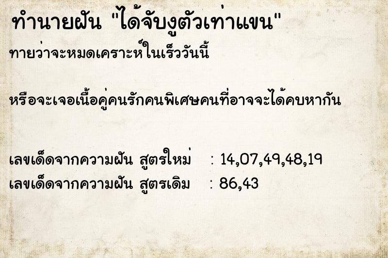 ทำนายฝันทำนายฝันได้จับงูตัวเท่าแขน