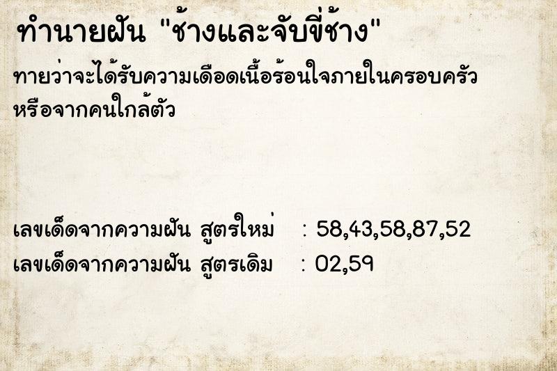 ทำนายฝันช้างและจับขี่ช้าง ทำนายฝันทำนายฝันช้างและจับขี่ช้าง