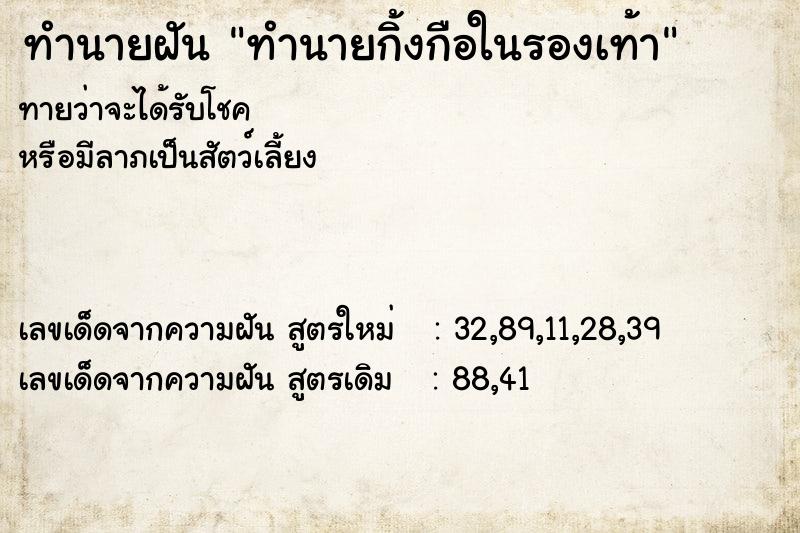 ทำนายฝันทำนายฝันทำนายกิ้งกือในรองเท้า