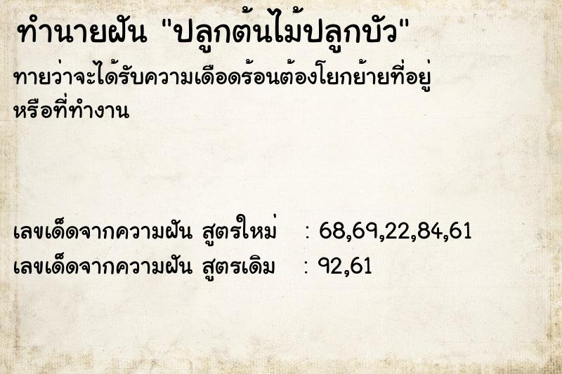 ทำนายฝันปลูกต้นไม้ปลูกบัว ทำนายฝันทำนายฝันปลูกต้นไม้ปลูกบัว