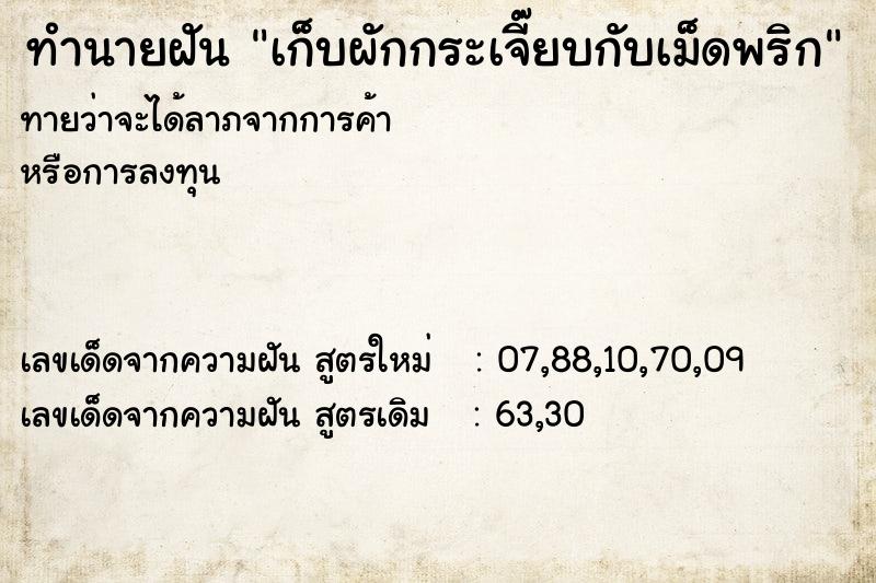 ทำนายฝันเก็บผักกระเจี๊ยบกับเม็ดพริก ทำนายฝันทำนายฝันเก็บผักกระเจี๊ยบกับเม็ดพริก
