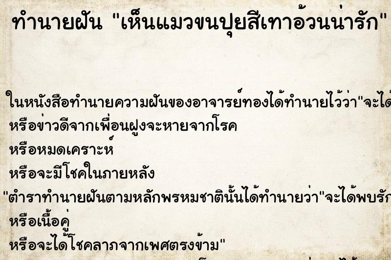 ทำนายฝันทำนายฝันเห็นแมวขนปุยสีเทาอ้วนน่ารัก