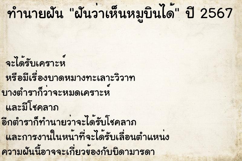 ทำนายฝันทำนายฝันฝันว่าเห็นหมูบินได้