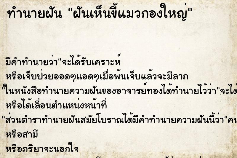 ทำนายฝัน ฝันเห็นขี้แมวกองใหญ่ ทำนายฝัน ฝันเห็นขี้แมวกองใหญ่