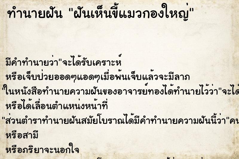 ทำนายฝัน ฝันเห็นขี้แมวกองใหญ่ ตำราโบราณ แม่นที่สุดในโลก