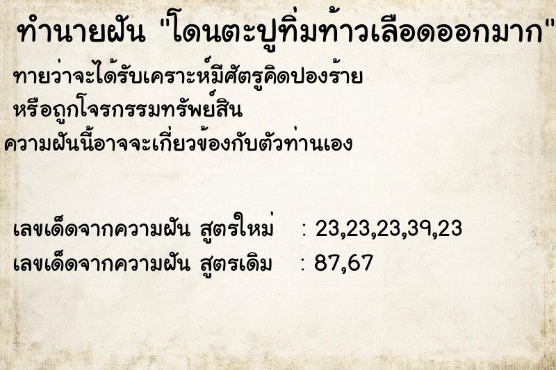 ทำนายฝันทำนายฝันโดนตะปูทิ่มท้าวเลือดออกมาก