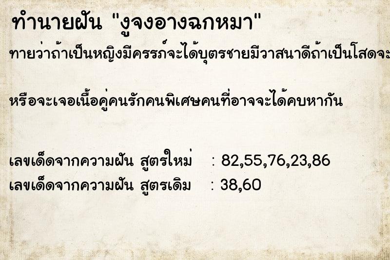 ทำนายฝันงูจงอางฉกหมา ทำนายฝันทำนายฝันงูจงอางฉกหมา