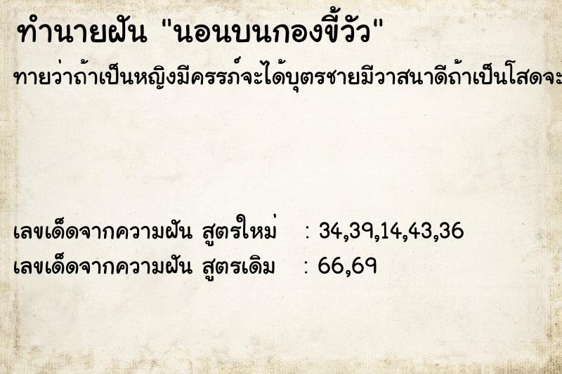 ทำนายฝันนอนบนกองขี้วัว ทำนายฝันทำนายฝันนอนบนกองขี้วัว