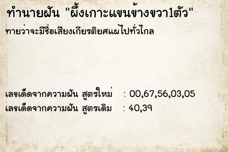 ทำนายฝันผึ้งเกาะแขนข้างขวา1ตัว ทำนายฝันทำนายฝันผึ้งเกาะแขนข้างขวา1ตัว