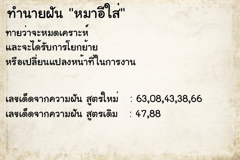 ทำนายฝันทำนายฝันหมาอีใส่