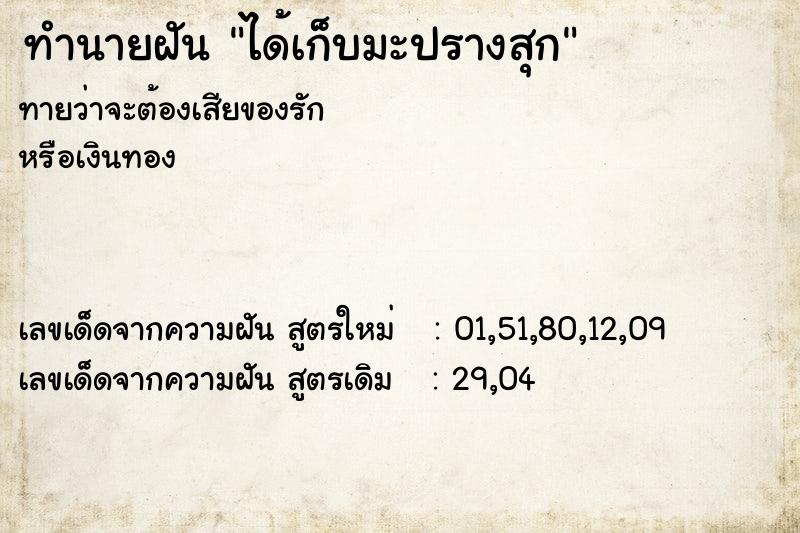 ทำนายฝันทำนายฝันได้เก็บมะปรางสุก