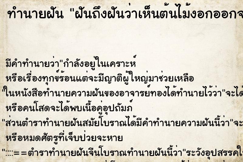 ทำนายฝันฝันถึงฝันว่าเห็นต้นไม้งอกออกจากขาข้างขวา ทำนายฝันทำนายฝันฝันถึงฝันว่าเห็นต้นไม้งอกออกจากขาข้างขวา