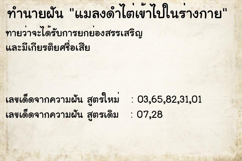 ทำนายฝันแมลงดำไต่เข้าไปในร่างกาย ทำนายฝันทำนายฝันแมลงดำไต่เข้าไปในร่างกาย