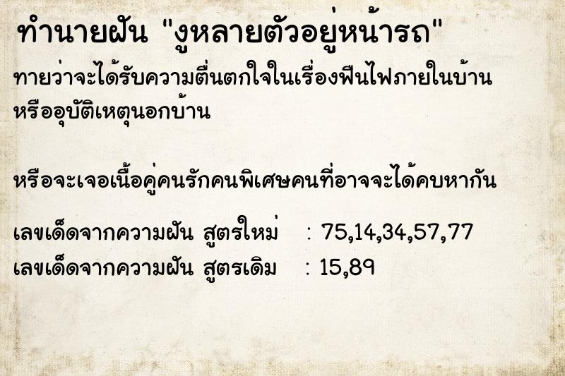 ทำนายฝันงูหลายตัวอยู่หน้ารถ ทำนายฝันทำนายฝันงูหลายตัวอยู่หน้ารถ