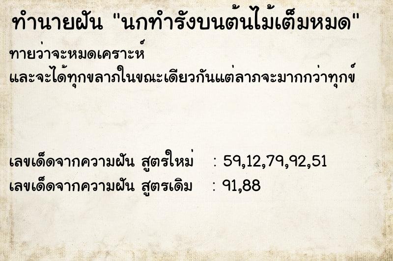 ทำนายฝันนกทำรังบนต้นไม้เต็มหมด ทำนายฝันทำนายฝันนกทำรังบนต้นไม้เต็มหมด