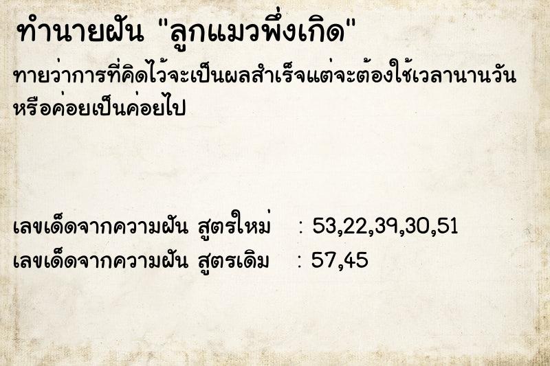 ทำนายฝันทำนายฝันลูกแมวพึ่งเกิด