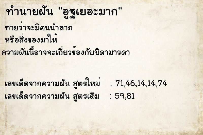 ทำนายฝันทำนายฝันอูฐเยอะมาก