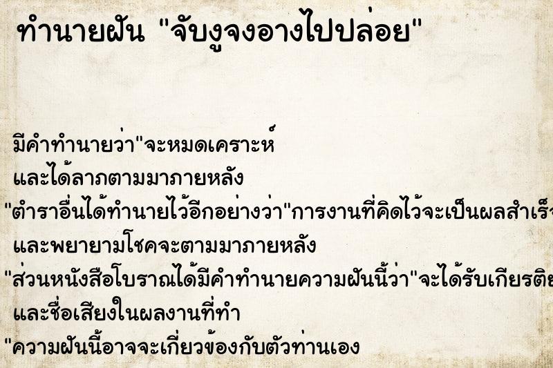 ทำนายฝัน จับงูจงอางไปปล่อย ทำนายฝัน จับงูจงอางไปปล่อย