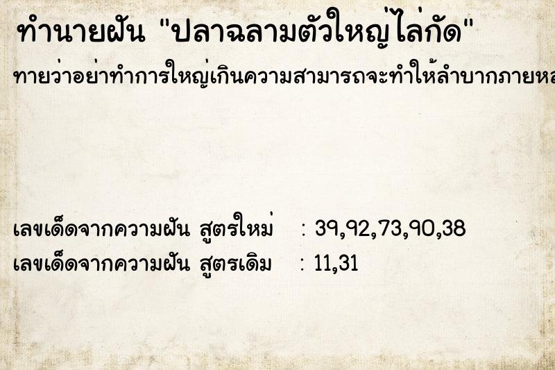 ทำนายฝันปลาฉลามตัวใหญ่ไล่กัด ทำนายฝันทำนายฝันปลาฉลามตัวใหญ่ไล่กัด