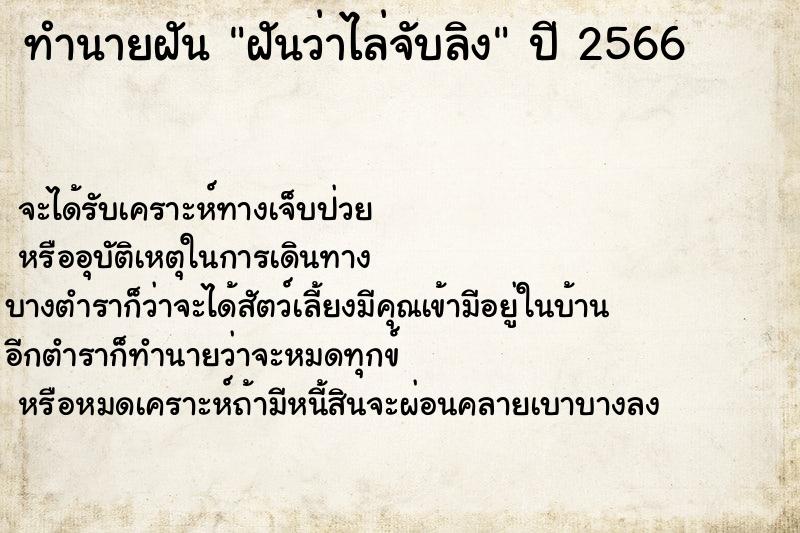 ทำนายฝันฝันว่าไล่จับลิง ทำนายฝันทำนายฝันฝันว่าไล่จับลิง
