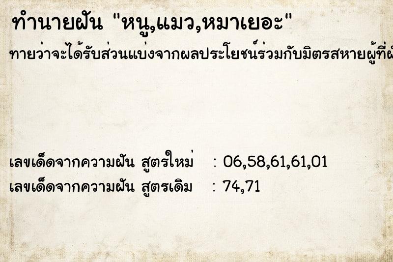 ทำนายฝันทำนายฝันหนู,แมว,หมาเยอะ
