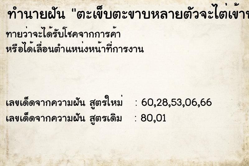 ทำนายฝันตะเข็บตะขาบหลายตัวจะไต่เข้าปากเรา ทำนายฝันทำนายฝันตะเข็บตะขาบหลายตัวจะไต่เข้าปากเรา