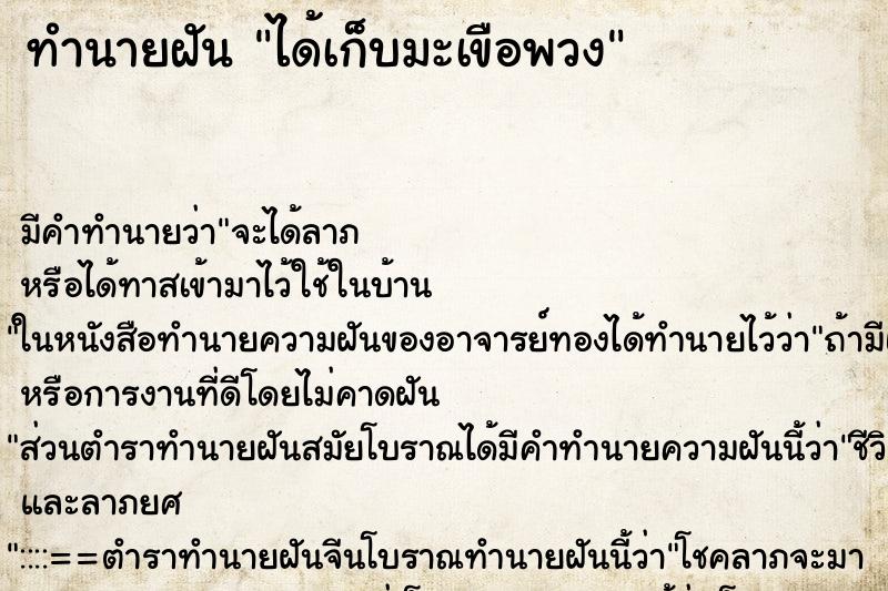ทำนายฝัน ได้เก็บมะเขือพวง ทำนายฝัน ได้เก็บมะเขือพวง