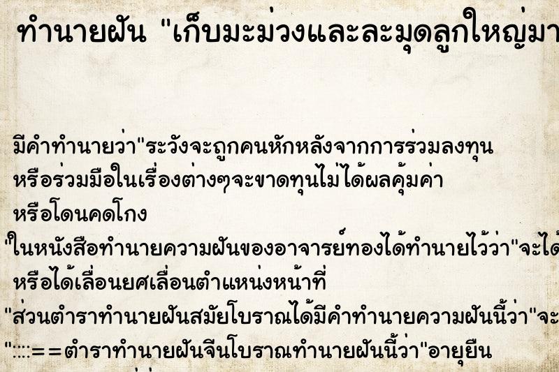 ทำนายฝัน เก็บมะม่วงและละมุดลูกใหญ่มาก ตำราโบราณ แม่นที่สุดในโลก