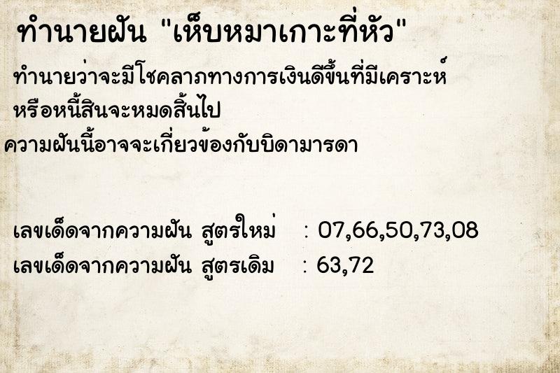 ทำนายฝันเห็บหมาเกาะที่หัว ทำนายฝันทำนายฝันเห็บหมาเกาะที่หัว
