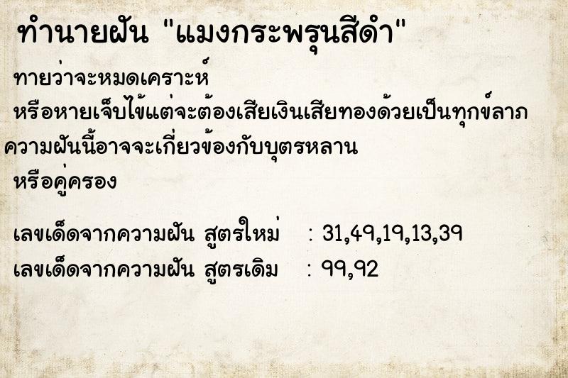 ทำนายฝัน แมงกระพรุนสีดำ ทำนายฝัน แมงกระพรุนสีดำ