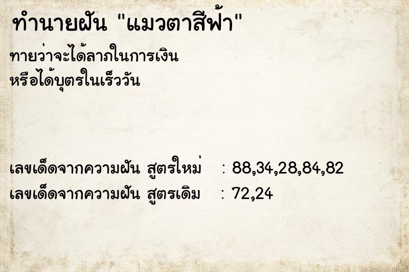 ทำนายฝันทำนายฝันแมวตาสีฟ้า