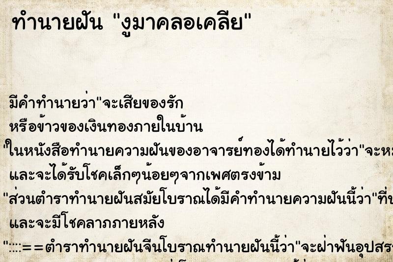ทำนายฝัน งูมาคลอเคลีย ทำนายฝัน งูมาคลอเคลีย