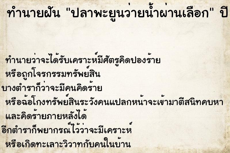 ทำนายฝันปลาพะยูนว่ายน้ำผ่านเลือก ทำนายฝันทำนายฝันปลาพะยูนว่ายน้ำผ่านเลือก