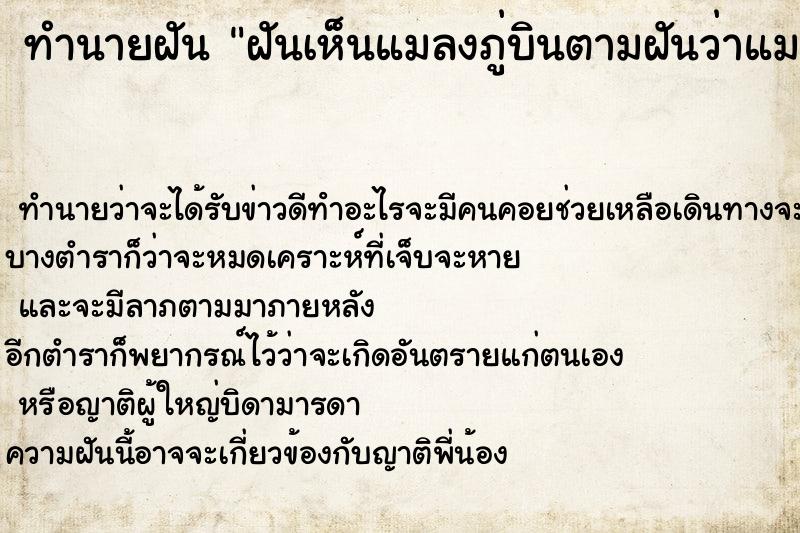 ทำนายฝันฝันเห็นแมลงภู่บินตามฝันว่าแมลงภู่บินตาม ทำนายฝันทำนายฝันฝันเห็นแมลงภู่บินตามฝันว่าแมลงภู่บินตาม