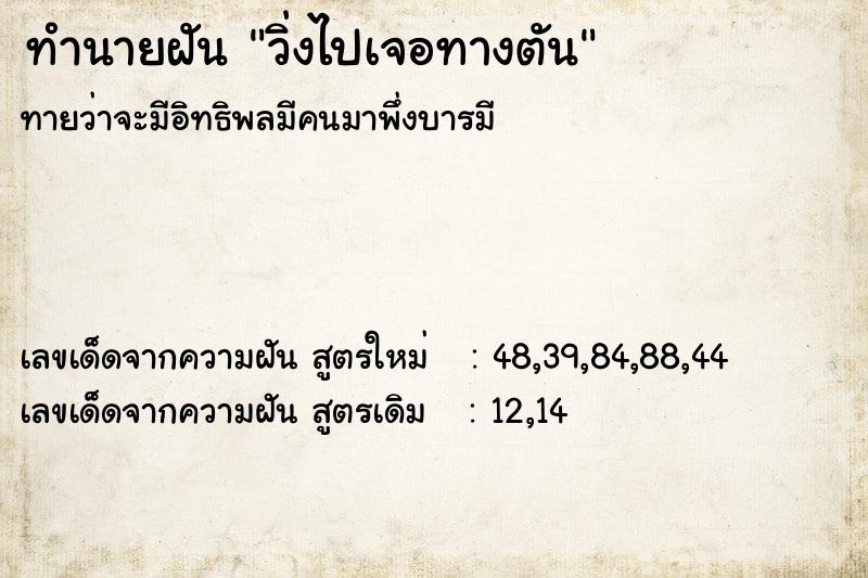 ทำนายฝันวิ่งไปเจอทางตัน ทำนายฝันทำนายฝันวิ่งไปเจอทางตัน