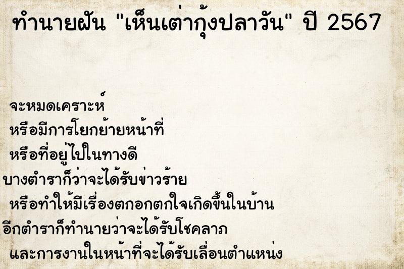 ทำนายฝันเห็นเต่ากุ้งปลาวัน ทำนายฝันทำนายฝันเห็นเต่ากุ้งปลาวัน