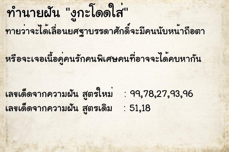 ทำนายฝันทำนายฝันงูกะโดดใส่