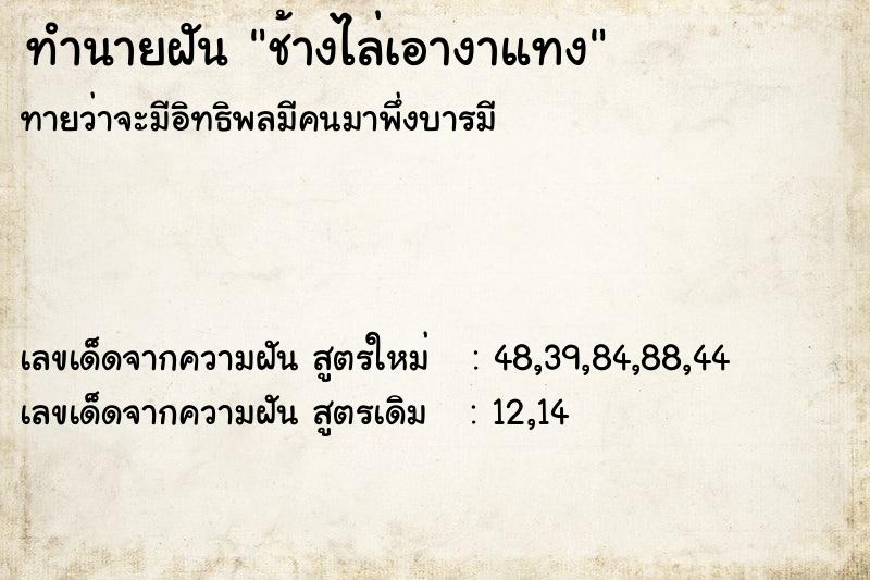 ทำนายฝันช้างไล่เอางาแทง ทำนายฝันทำนายฝันช้างไล่เอางาแทง