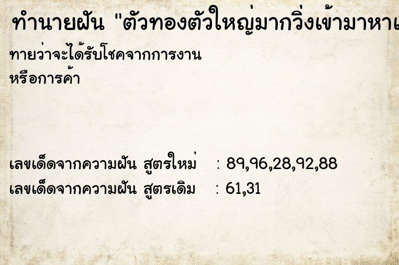 ทำนายฝันตัวทองตัวใหญ่มากวิ่งเข้ามาหาแต่ไม่กัด ทำนายฝันทำนายฝันตัวทองตัวใหญ่มากวิ่งเข้ามาหาแต่ไม่กัด