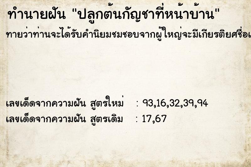 ทำนายฝันทำนายฝันปลูกต้นกัญชาที่หน้าบ้าน