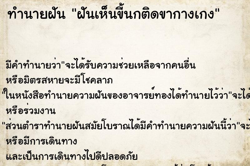 ทำนายฝัน ฝันเห็นขี้นกติดขากางเกง ตำราโบราณ แม่นที่สุดในโลก