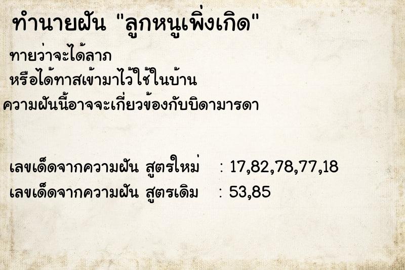 ทำนายฝันลูกหนูเพิ่งเกิด ทำนายฝันทำนายฝันลูกหนูเพิ่งเกิด